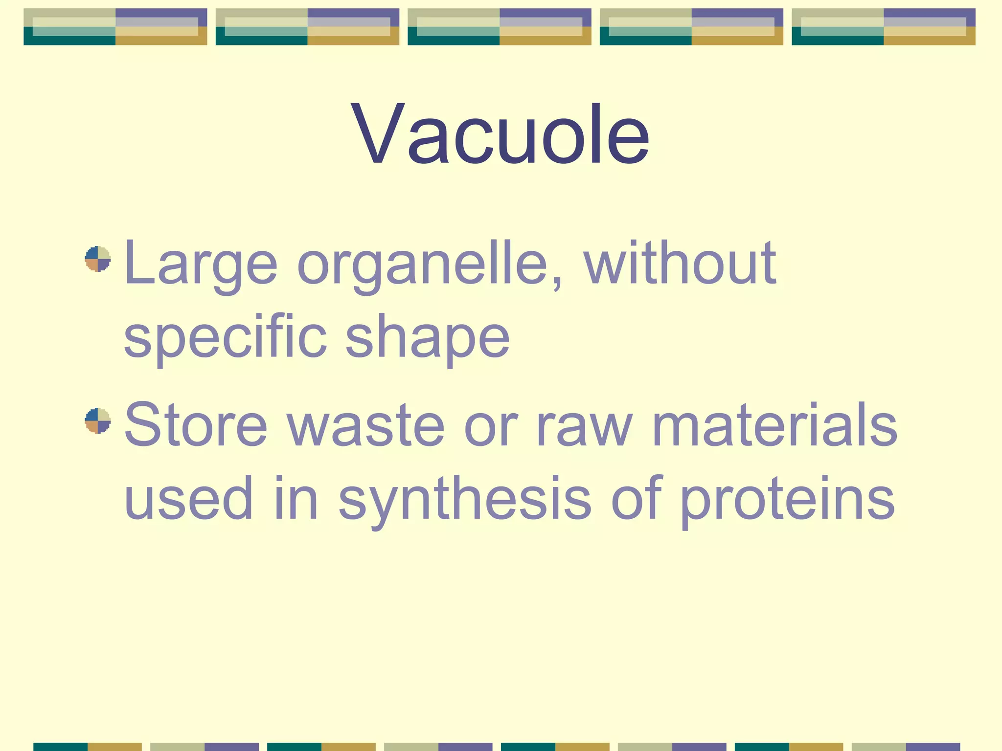Vacuole Large organelle, without specific shape Store waste or raw materials used in synthesis of proteins 