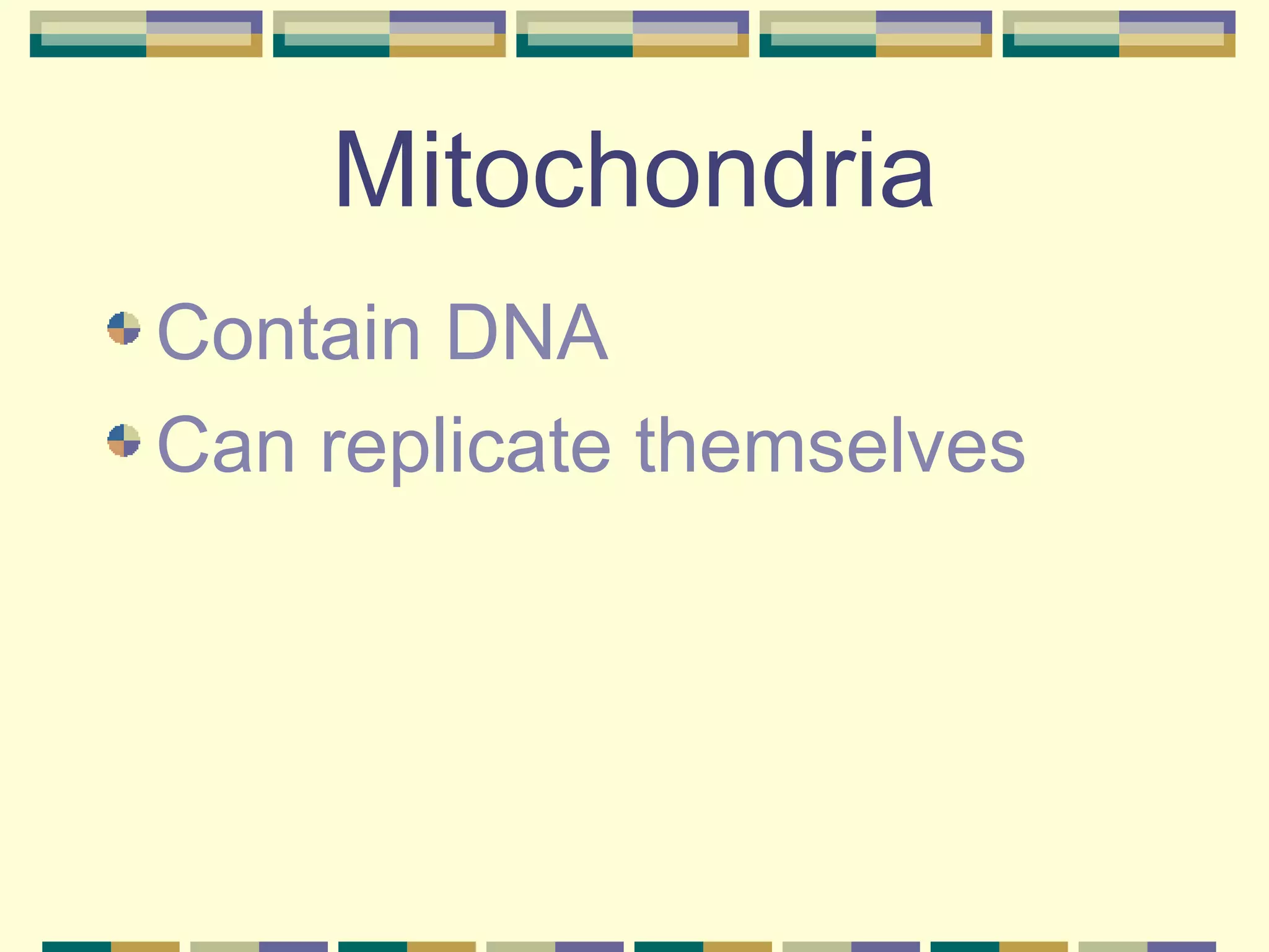 Mitochondria Contain DNA Can replicate themselves 