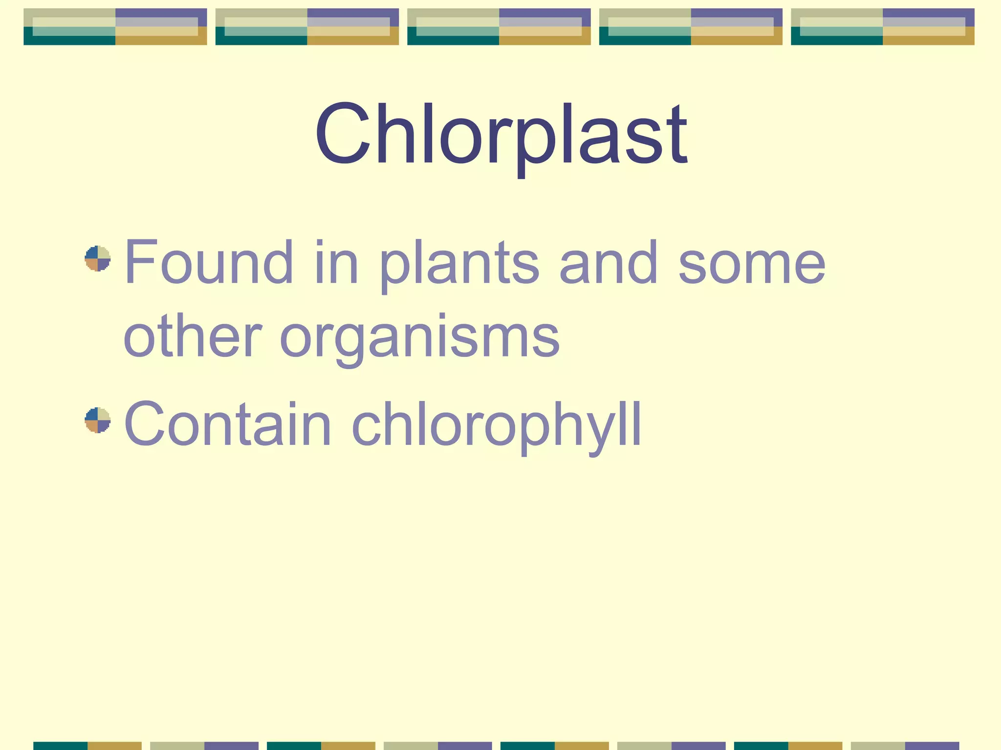 Chlorplast Found in plants and some other organisms Contain chlorophyll 