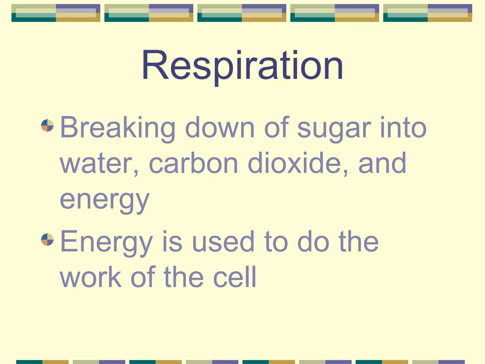 Respiration Breaking down of sugar into water, carbon dioxide, and energy Energy is used to do the work of the cell 
