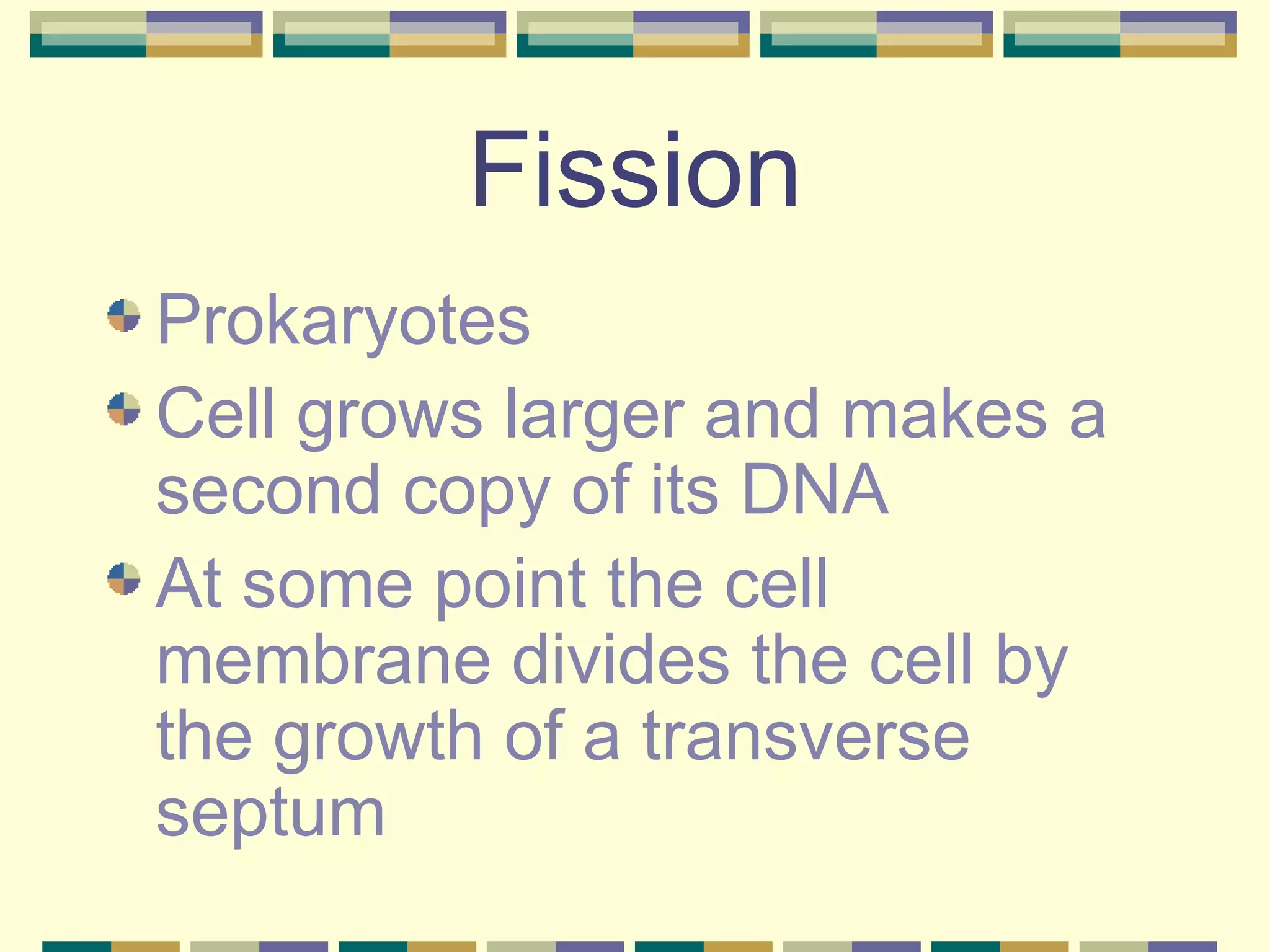Fission Prokaryotes Cell grows larger and makes a second copy of its DNA At some point the cell membrane divides the cell by the growth of a transverse septum 