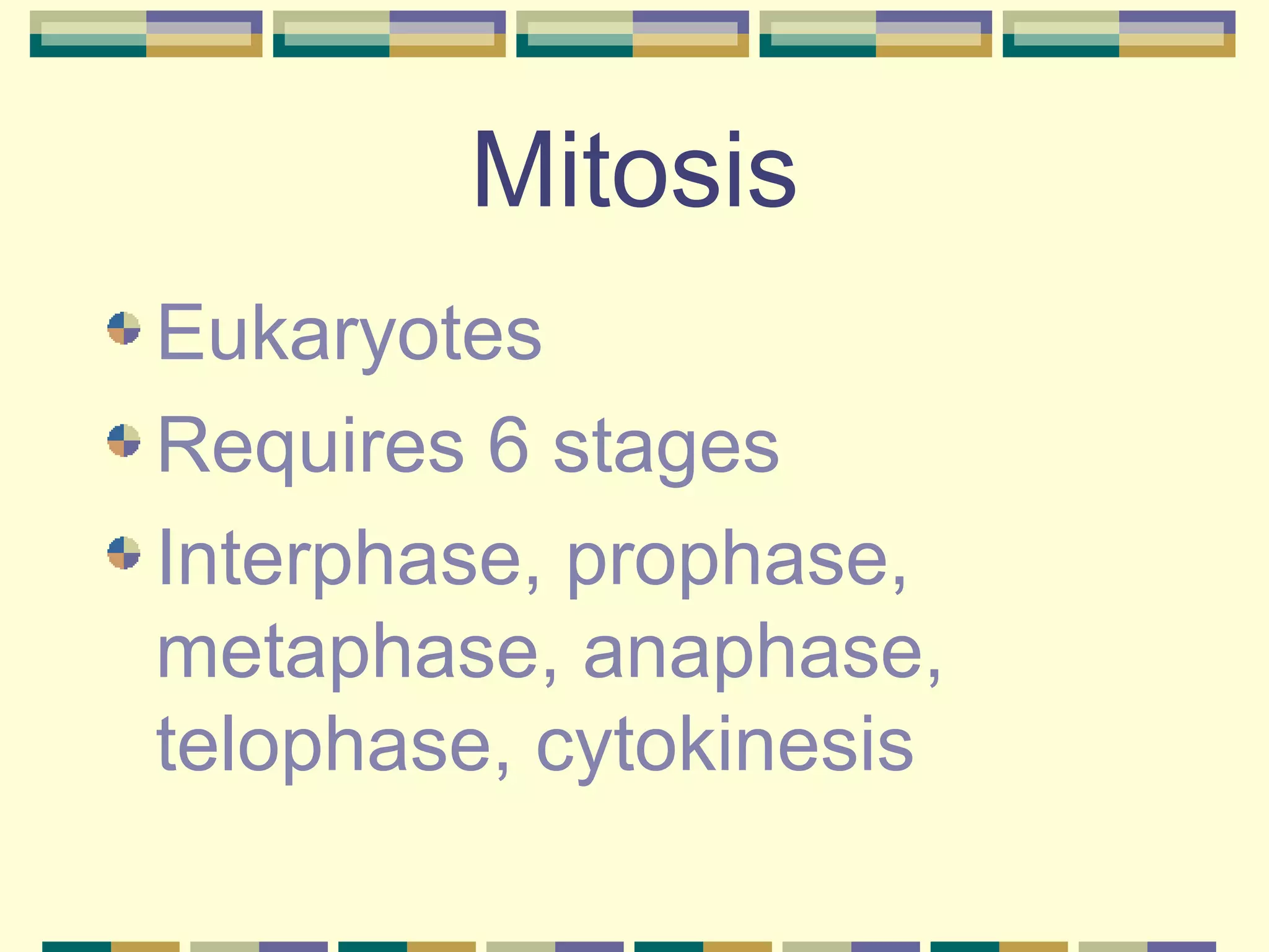 Mitosis Eukaryotes Requires 6 stages Interphase, prophase, metaphase, anaphase, telophase, cytokinesis 