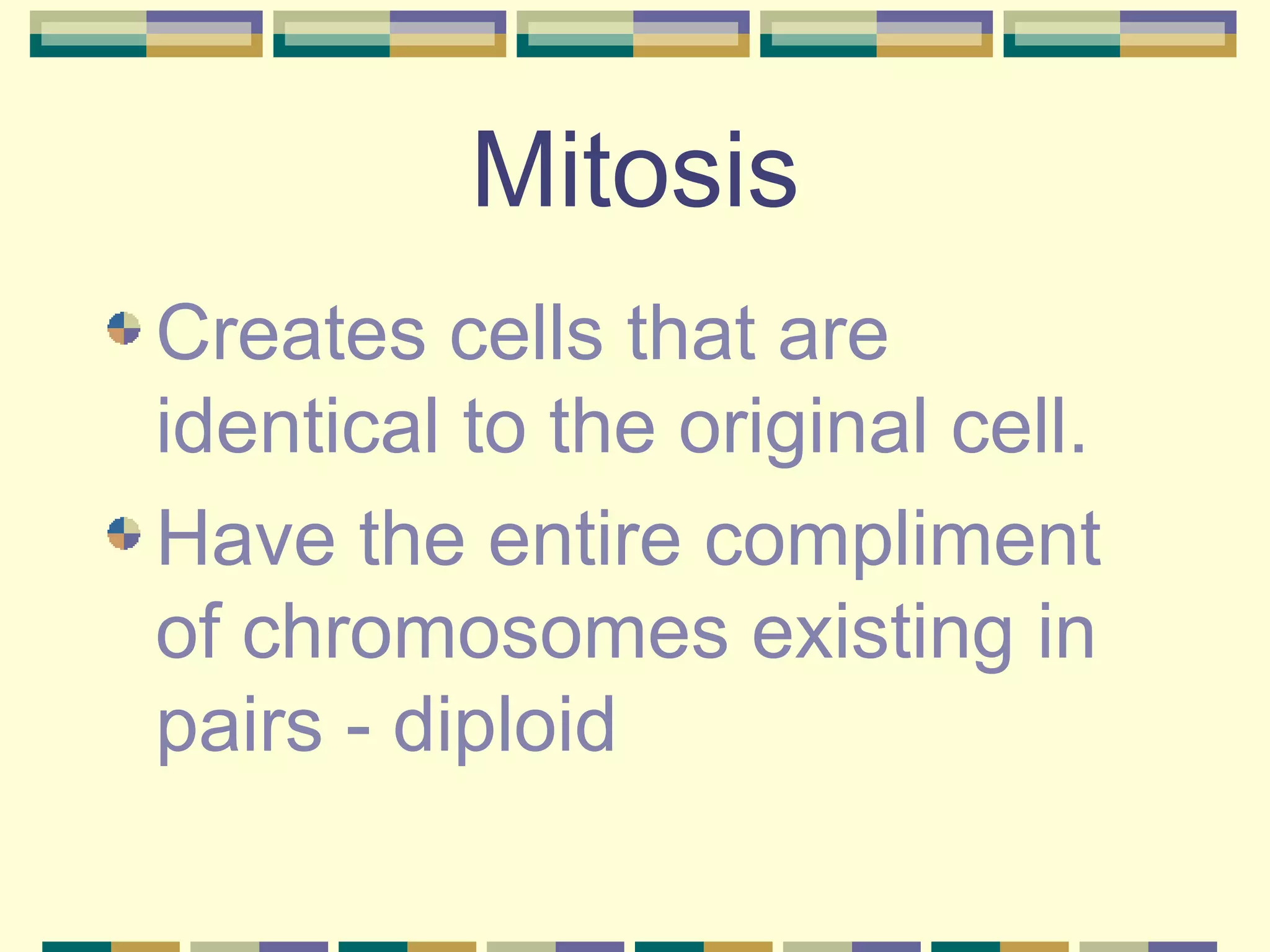 Mitosis Creates cells that are identical to the original cell. Have the entire compliment of chromosomes existing in pairs - diploid 