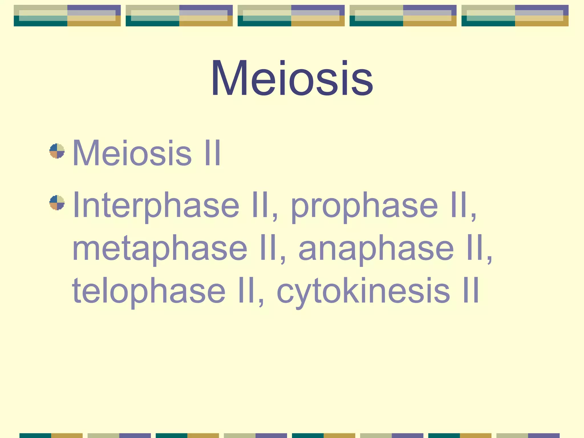 Meiosis Meiosis II Interphase II, prophase II, metaphase II, anaphase II, telophase II, cytokinesis II 
