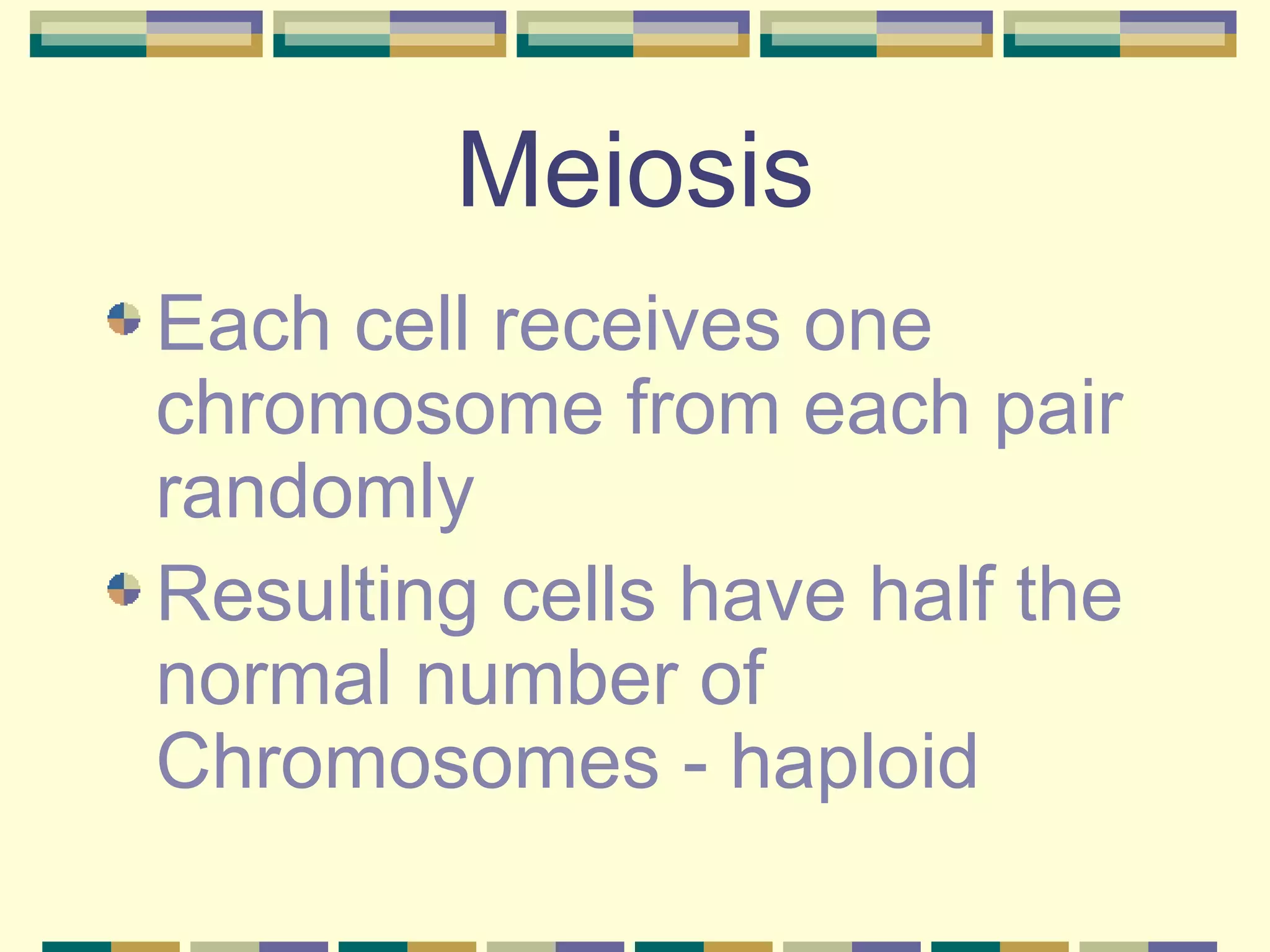 Meiosis Each cell receives one chromosome from each pair randomly Resulting cells have half the normal number of Chromosomes - haploid 