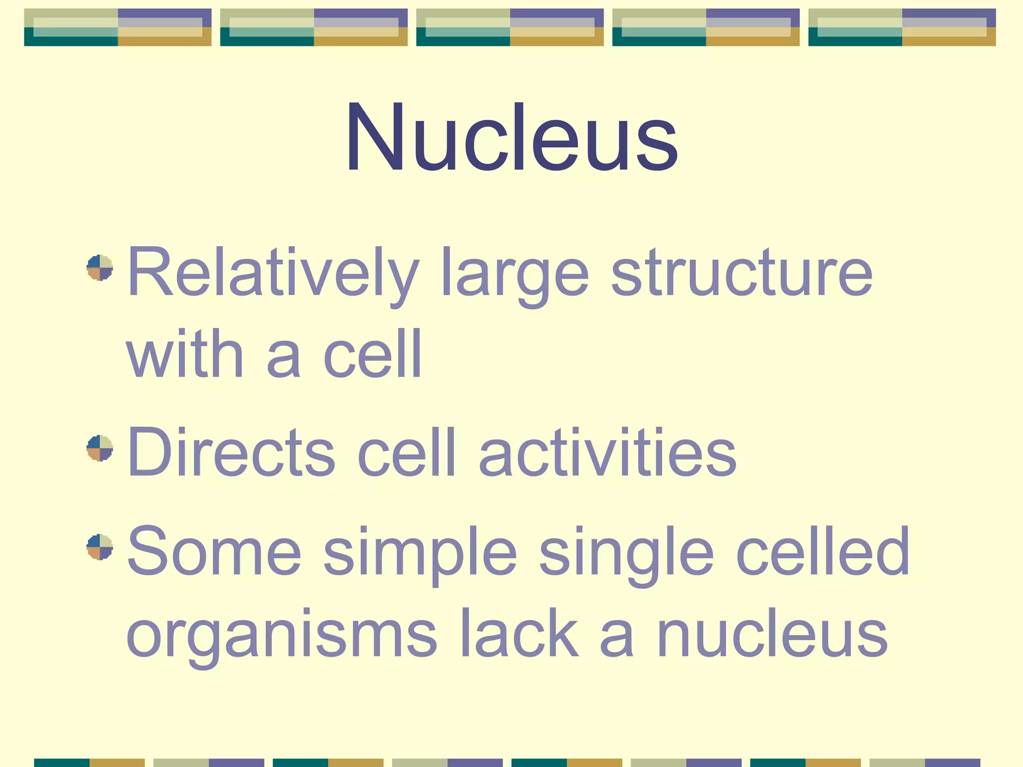 Nucleus Relatively large structure with a cell Directs cell activities Some simple single celled organisms lack a nucleus 