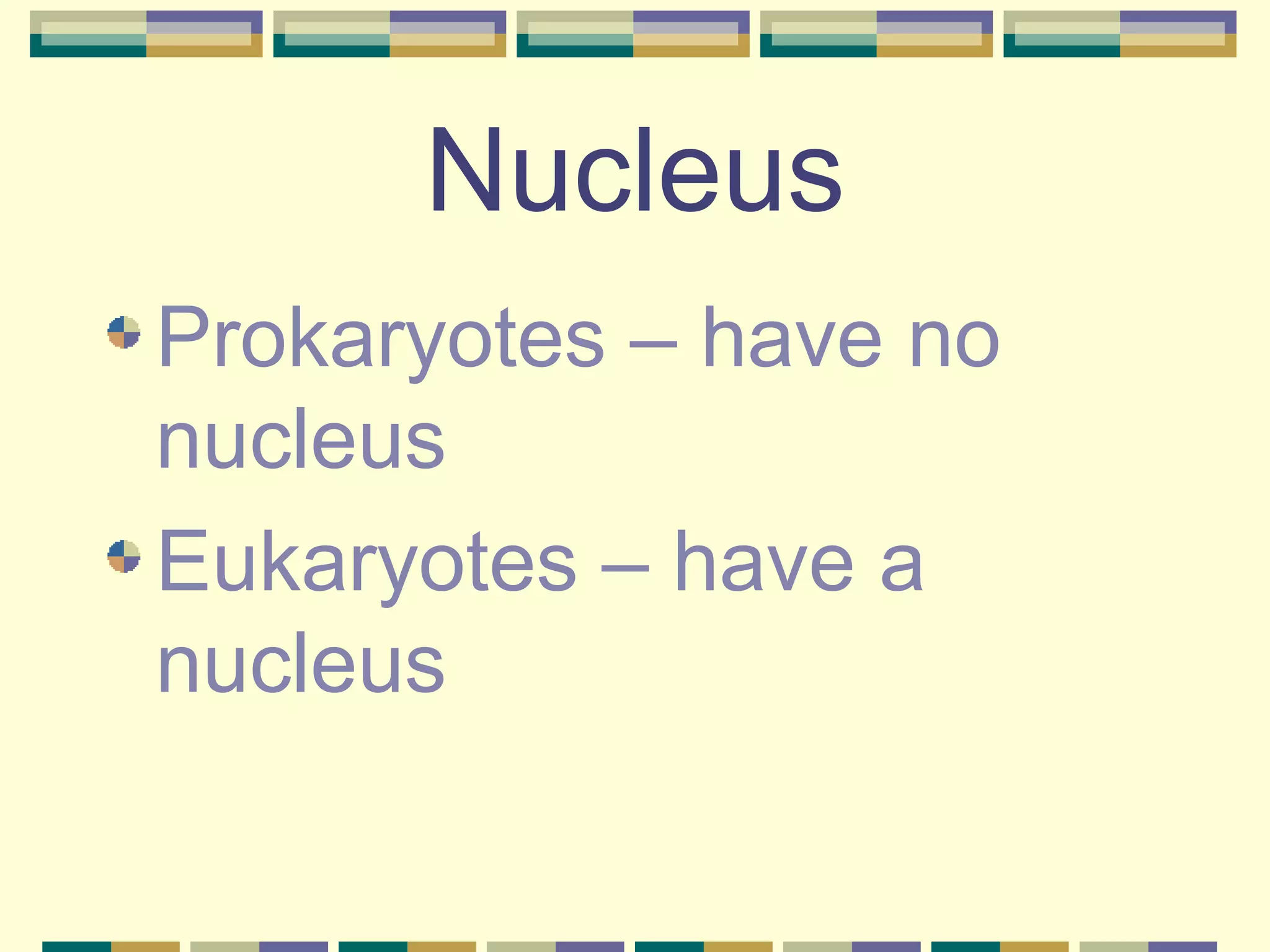 Nucleus Prokaryotes – have no nucleus Eukaryotes – have a nucleus 