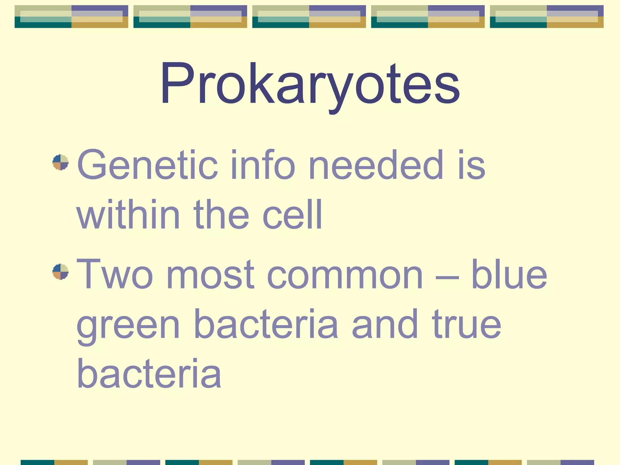 Prokaryotes Genetic info needed is within the cell Two most common – blue green bacteria and true bacteria 