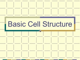 Basic Cell Structure 