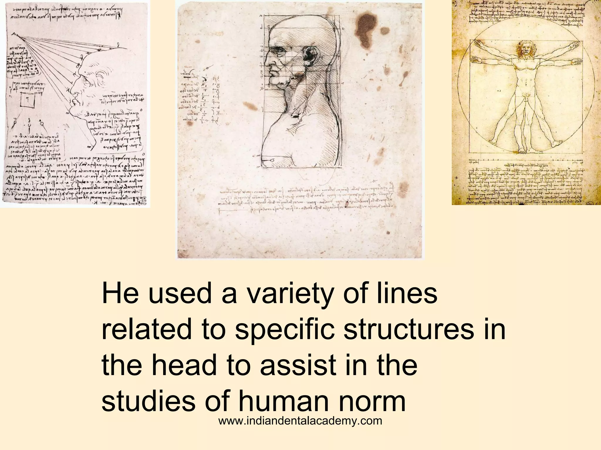 He used a variety of lines
related to specific structures in
the head to assist in the
studies of human normwww.indiandentalacademy.com
 
