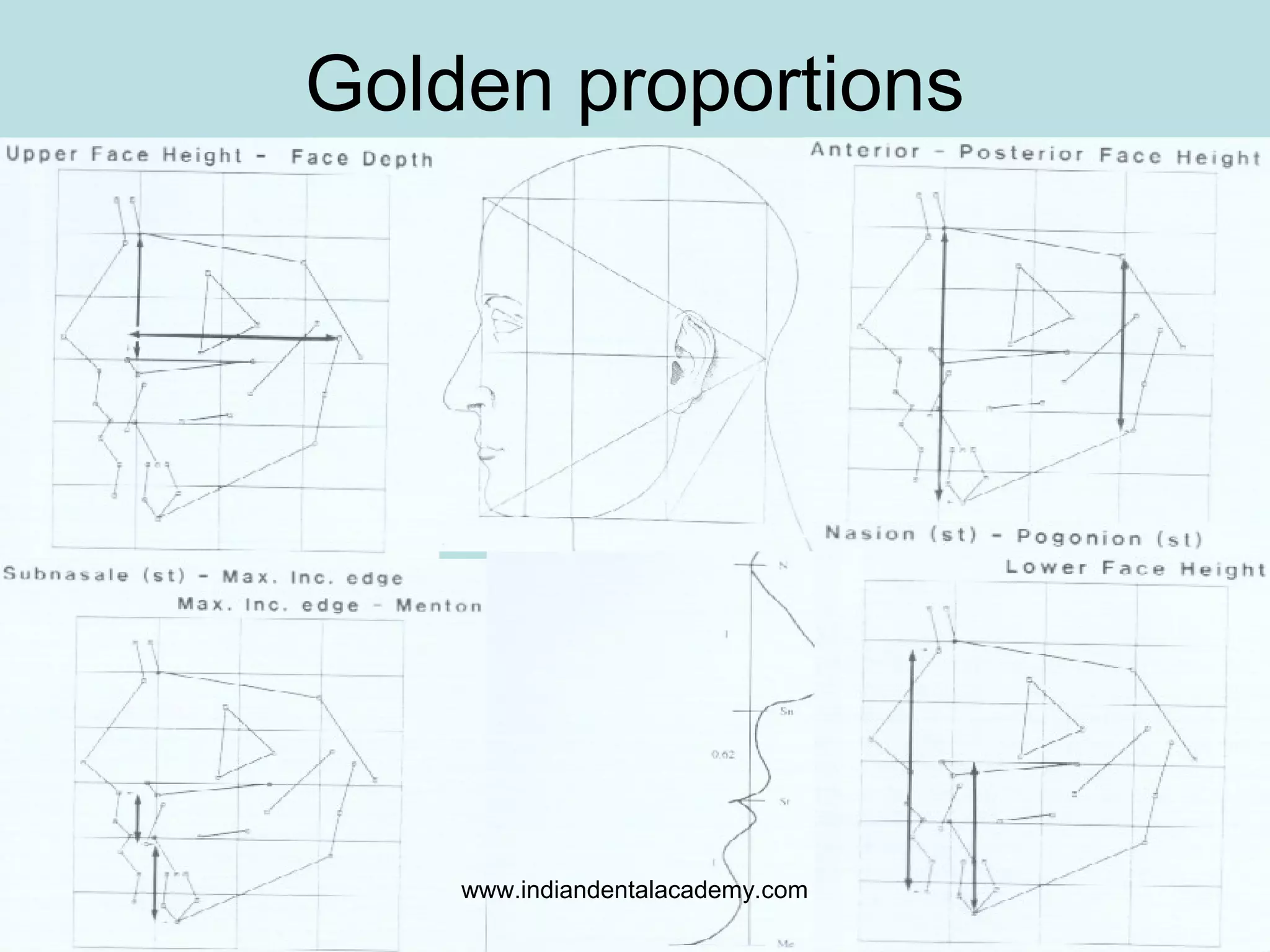 Golden proportions
www.indiandentalacademy.com
 