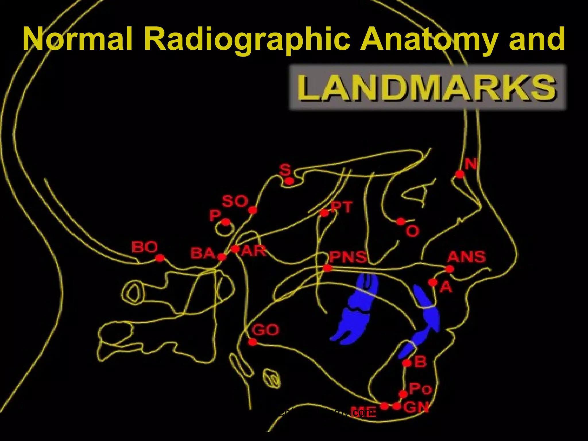 Normal Radiographic Anatomy and
www.indiandentalacademy.com
 