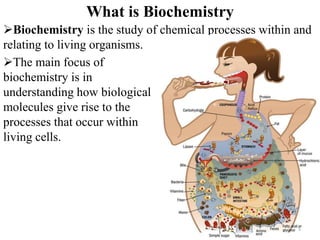 Basic chemistry | PPTX