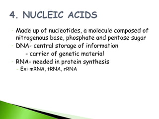 -   Made up of nucleotides, a molecule composed of
    nitrogenous base, phosphate and pentose sugar
-   DNA- central storage of information
        - carrier of genetic material
-   RNA- needed in protein synthesis
    - Ex: mRNA, tRNA, rRNA
 