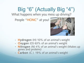Big “6” (Actually Big “4”)
What happens when you mess up driving?
People “HONC” at you!
- Hydrogen (H) 10% of an animal’s weight
- Oxygen (O) 63% of an animal’s weight
- Nitrogen (N) 4% of an animal’s weight (Makes up
genes and proteins)
- Carbon (C ) 19% of an animal’s weight
 