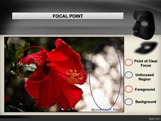 Photography : Basics | PDF
