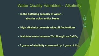 Water Quality Variables - Alkalinity
 