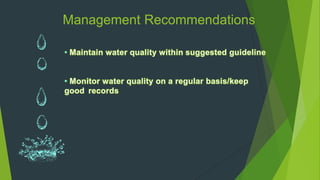 Management Recommendations
 