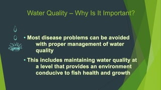 Water Quality – Why Is It Important?
 