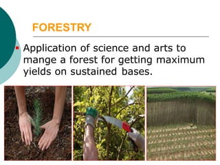 Basic cobcepts of Forestry and Agro-Forestry W-24.pdf