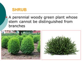 Basic cobcepts of Forestry and Agro-Forestry W-24.pdf