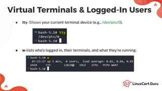 Basic Command Line Tools - RHCSA (RH124).pdf