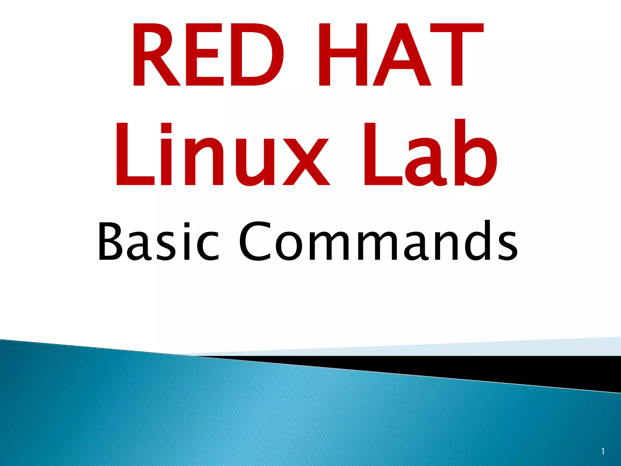 Basic Commands.ppt | Operating Systems | Computer Software and Applications