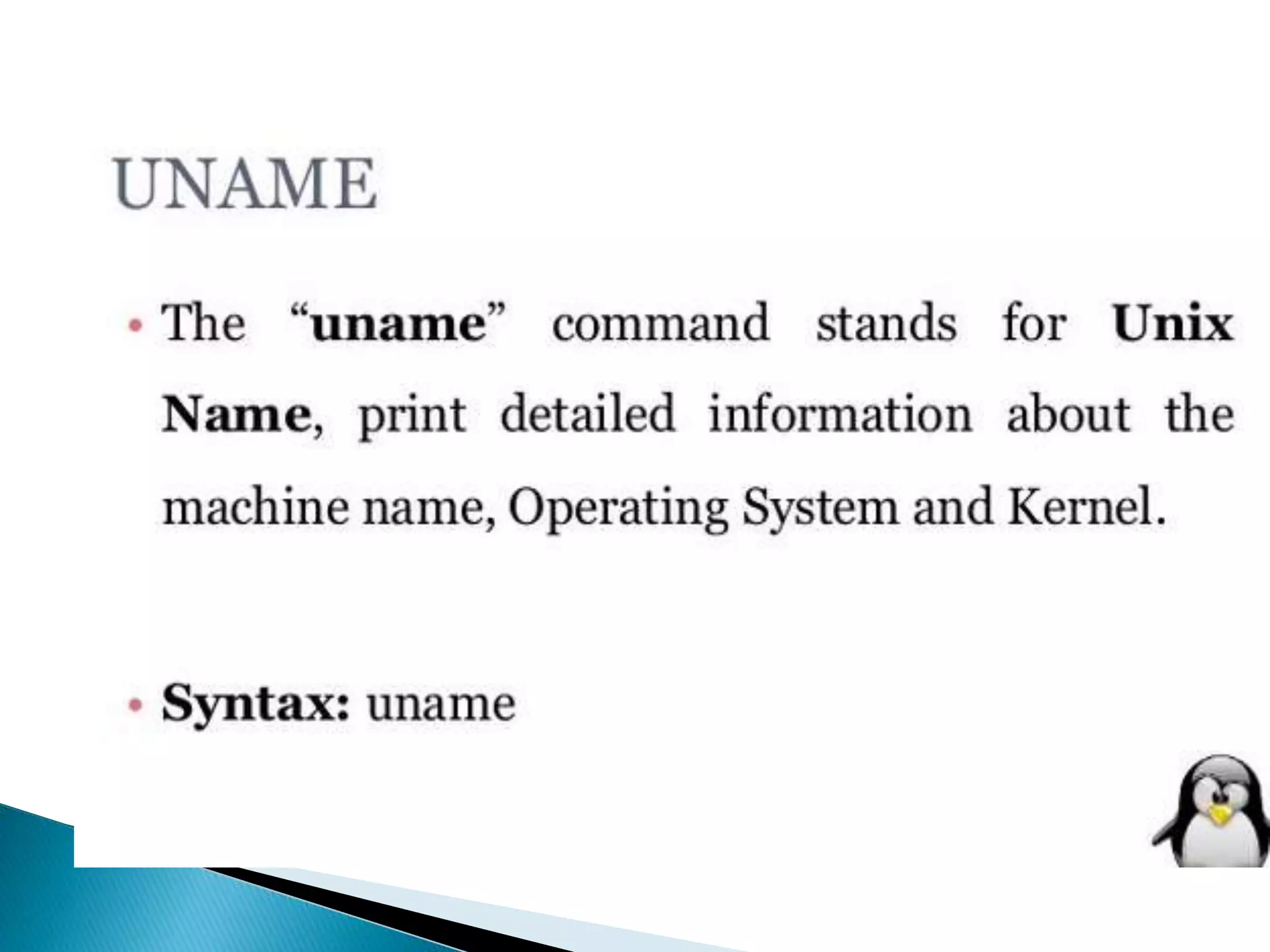 Basic Commands.ppt | Operating Systems | Computer Software and Applications