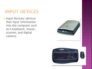 Basic Computer Hardware and Software.pptx