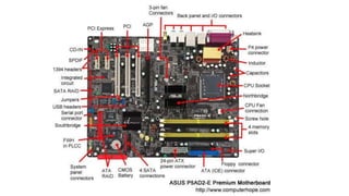 Basic Computer Parts.pptx