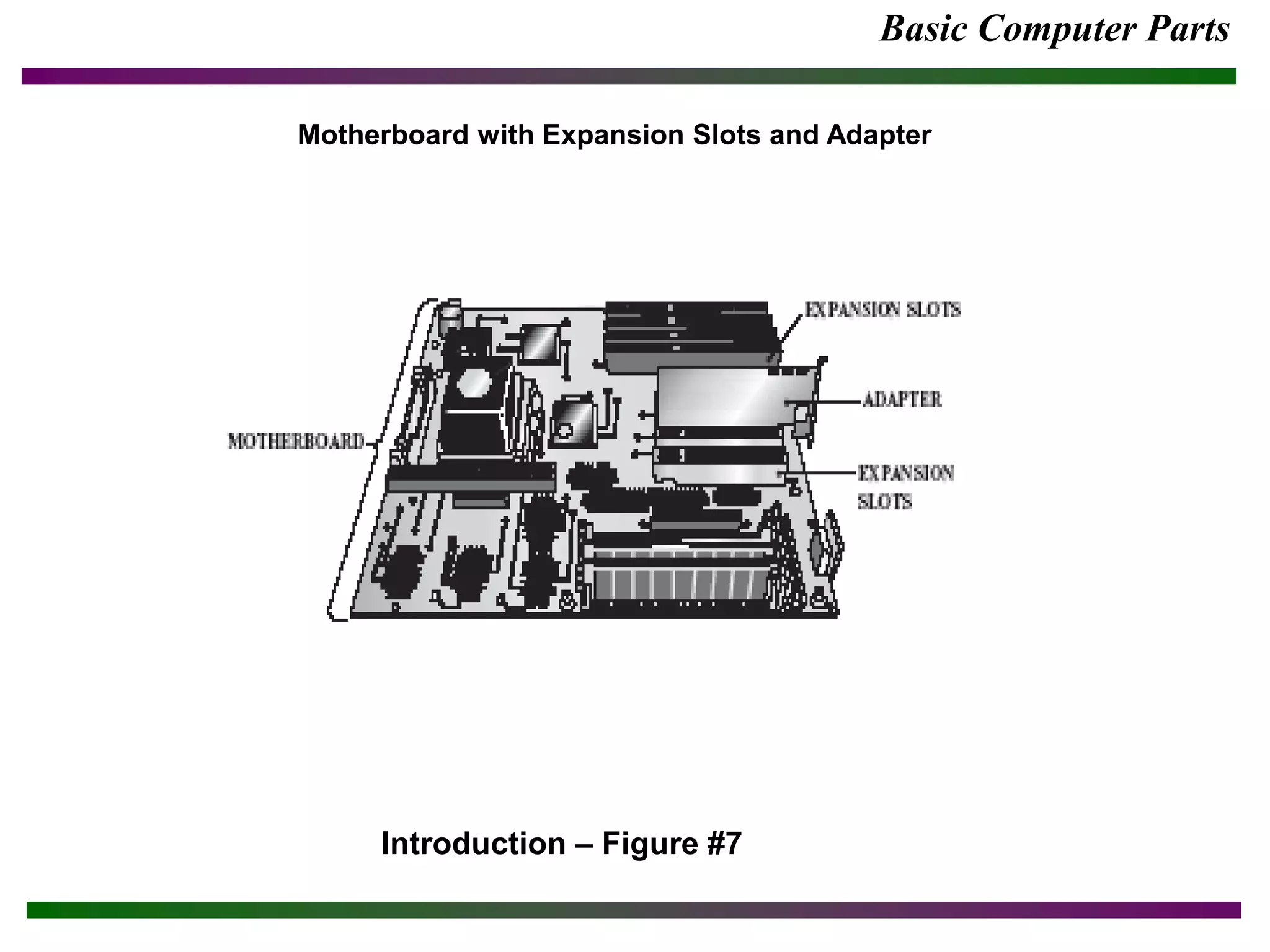 Basic Computer Parts
Introduction – Figure #7
Motherboard with Expansion Slots and Adapter
 