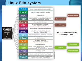 Linux File system
 
