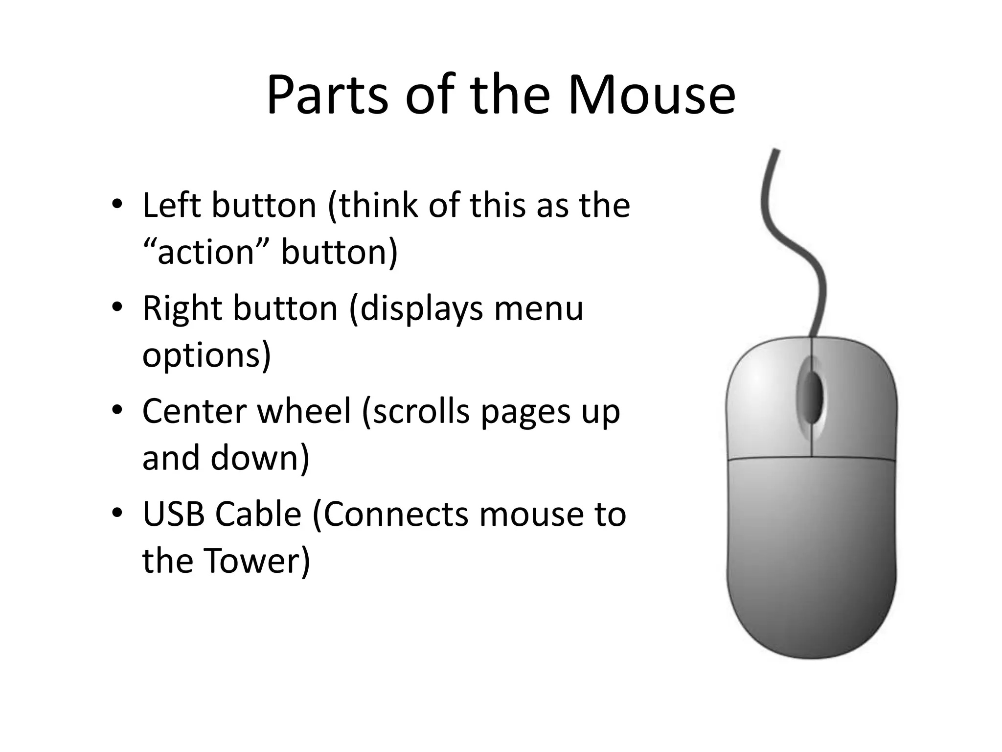 Parts of the Mouse
• Left button (think of this as the
“action” button)
• Right button (displays menu
options)
• Center wheel (scrolls pages up
and down)
• USB Cable (Connects mouse to
the Tower)
 