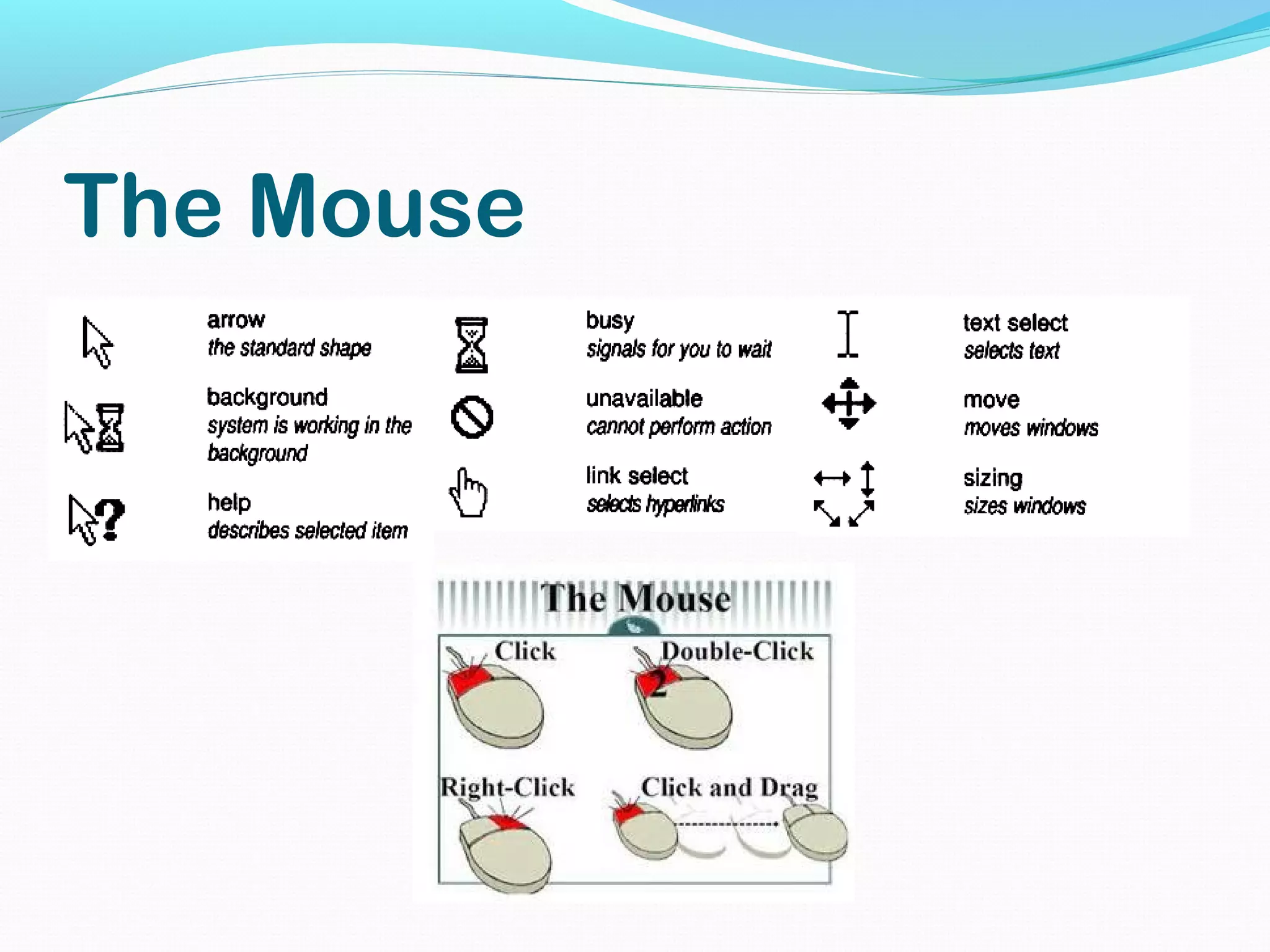 The Mouse
 