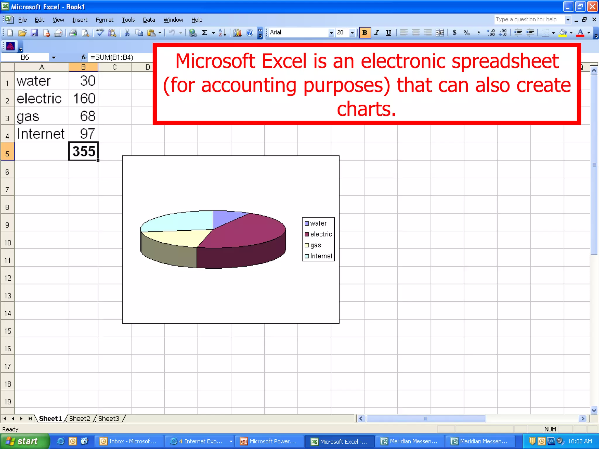 Microsoft Excel is an electronic spreadsheet (for accounting purposes) that can also create charts. 