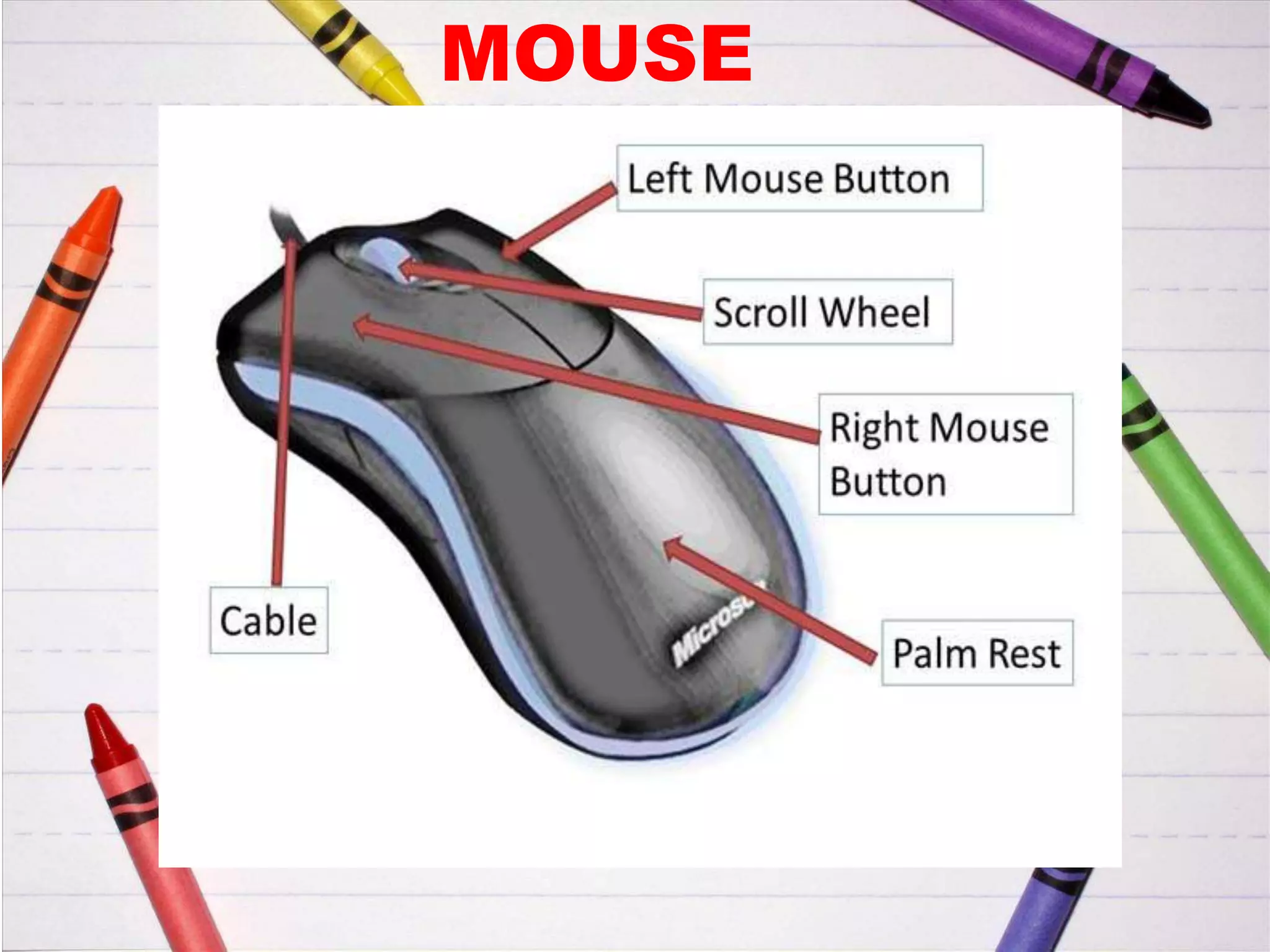 MOUSE
 