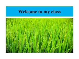 Welcome to my class
 
