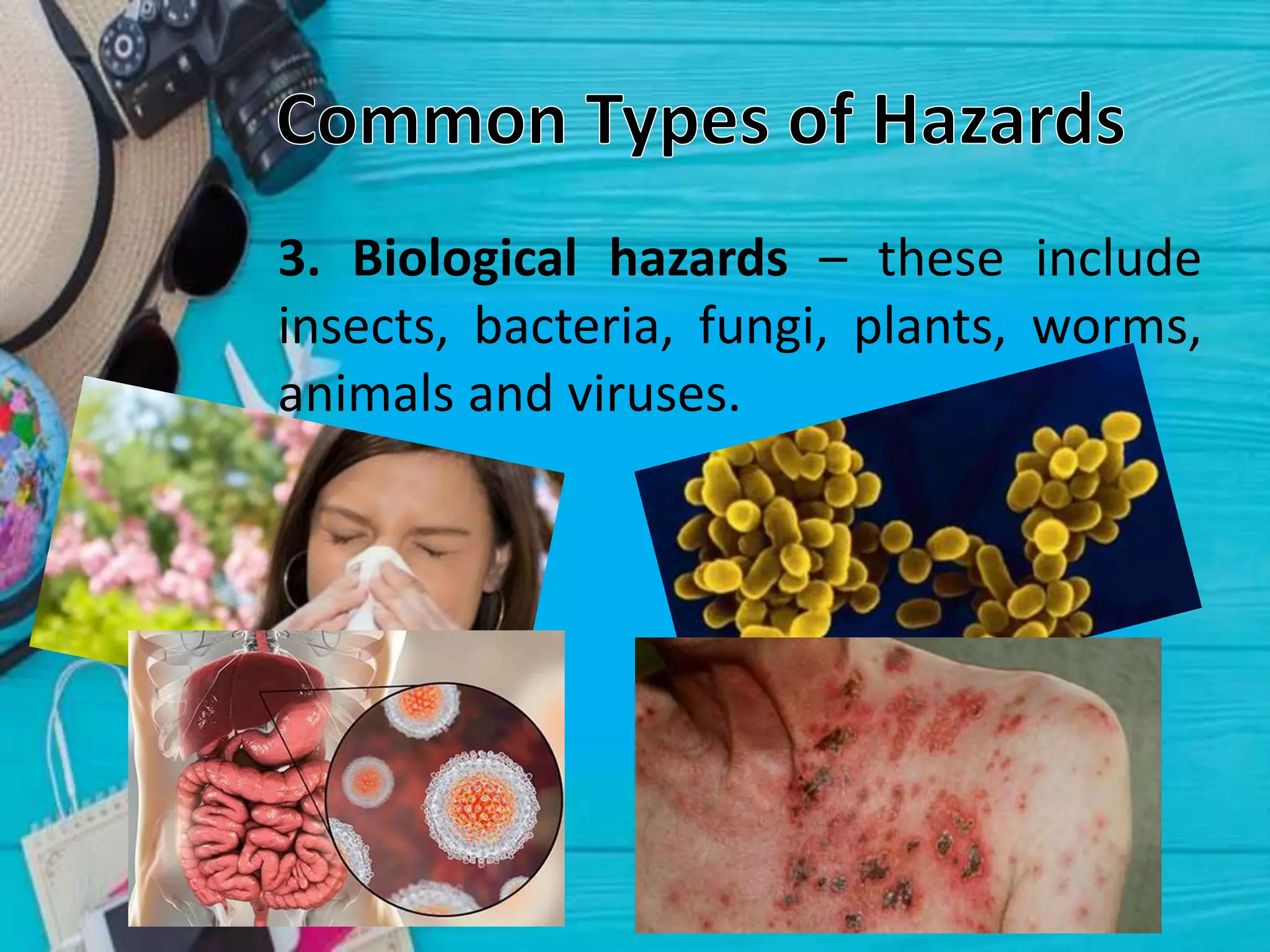 3. Biological hazards – these include
insects, bacteria, fungi, plants, worms,
animals and viruses.
 