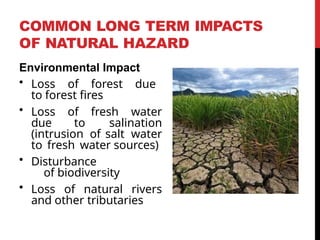 Environmental Impact
• Loss of forest due
to forest fires
• Loss of fresh water
due to salination
(intrusion of salt water
to fresh water sources)
• Disturbance
of biodiversity
• Loss of natural rivers
and other tributaries
COMMON LONG TERM IMPACTS
OF NATURAL HAZARD
 