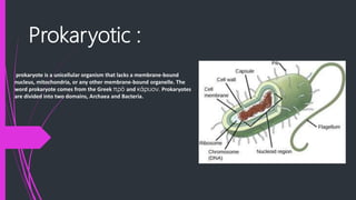 Prokaryotic :
prokaryote is a unicellular organism that lacks a membrane-bound
nucleus, mitochondria, or any other membrane-bound organelle. The
word prokaryote comes from the Greek πρό and κάρυον. Prokaryotes
are divided into two domains, Archaea and Bacteria.
 