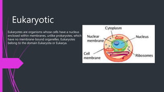 Eukaryotic
Eukaryotes are organisms whose cells have a nucleus
enclosed within membranes, unlike prokaryotes, which
have no membrane-bound organelles. Eukaryotes
belong to the domain Eukaryota or Eukarya.
 