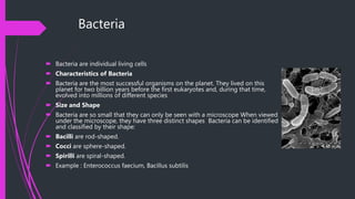 Bacteria
 Bacteria are individual living cells
 Characteristics of Bacteria
 Bacteria are the most successful organisms on the planet. They lived on this
planet for two billion years before the first eukaryotes and, during that time,
evolved into millions of different species
 Size and Shape
 Bacteria are so small that they can only be seen with a microscope When viewed
under the microscope, they have three distinct shapes Bacteria can be identified
and classified by their shape:
 Bacilli are rod-shaped.
 Cocci are sphere-shaped.
 Spirilli are spiral-shaped.
 Example : Enterococcus faecium, Bacillus subtilis
 