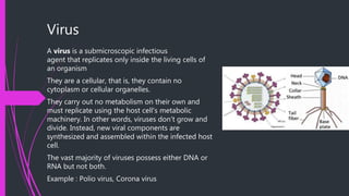 Virus
A virus is a submicroscopic infectious
agent that replicates only inside the living cells of
an organism
They are a cellular, that is, they contain no
cytoplasm or cellular organelles.
They carry out no metabolism on their own and
must replicate using the host cell's metabolic
machinery. In other words, viruses don't grow and
divide. Instead, new viral components are
synthesized and assembled within the infected host
cell.
The vast majority of viruses possess either DNA or
RNA but not both.
Example : Polio virus, Corona virus
 