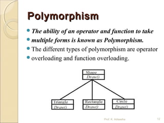 Basic concept of OOP's | PPT
