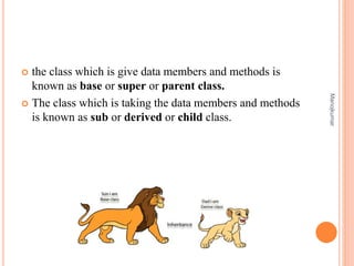 Basic concept of object oriented programming | PPT
