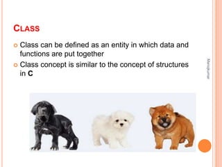 Basic concept of object oriented programming | PPTX