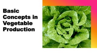 Basic
Concepts in
Vegetable
Production
 