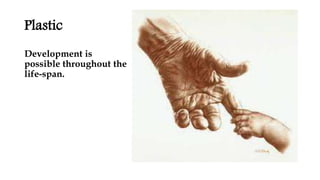 Plastic
Development is
possible throughout the
life-span.
 