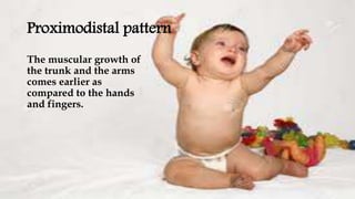 Proximodistal pattern
The muscular growth of
the trunk and the arms
comes earlier as
compared to the hands
and fingers.
 