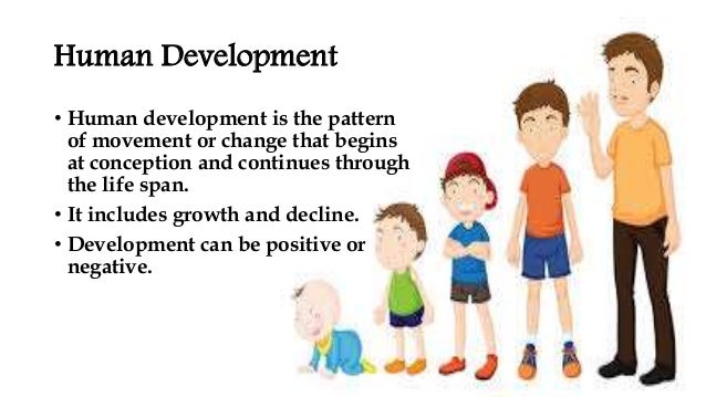 5 stages of human development
